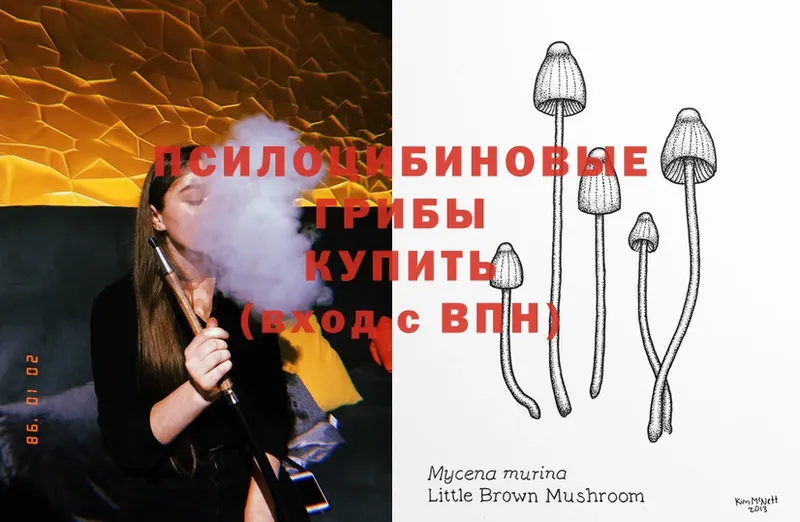 Псилоцибиновые грибы Psilocybine cubensis  mega онион  Гусь-Хрустальный 